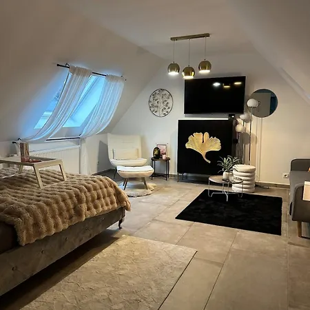 Moderne Schicke Dachgeschosswohnung 15 Min Bis Duesseldorf Apartment Duisburg