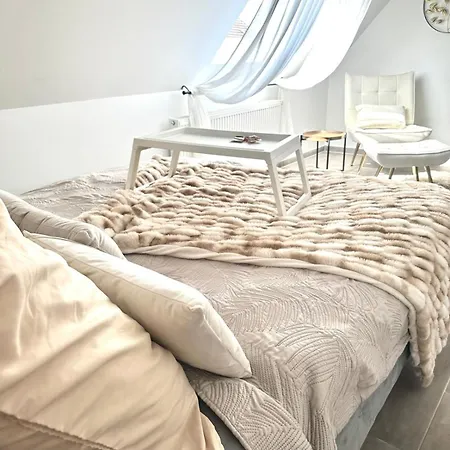 Moderne Schicke Dachgeschosswohnung 15 Min Bis Duesseldorf Apartment