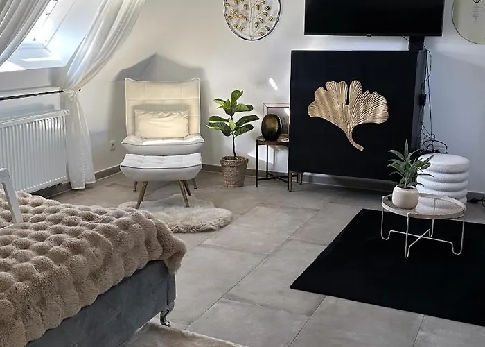 Moderne Schicke Dachgeschosswohnung 15 Min Bis Duesseldorf Duisburg
